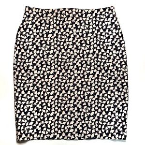 Ann Taylor Straight Skirt